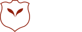 Widemove Academy